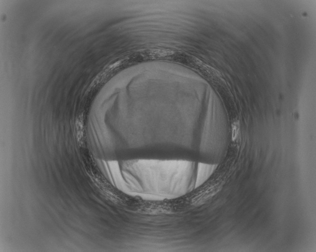 X0000083631011200703051629