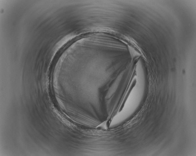 X0000083631024200703051629