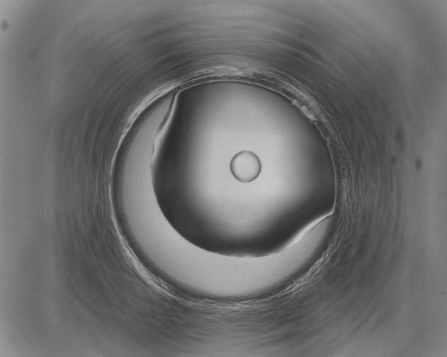 X0000083631034200703051630