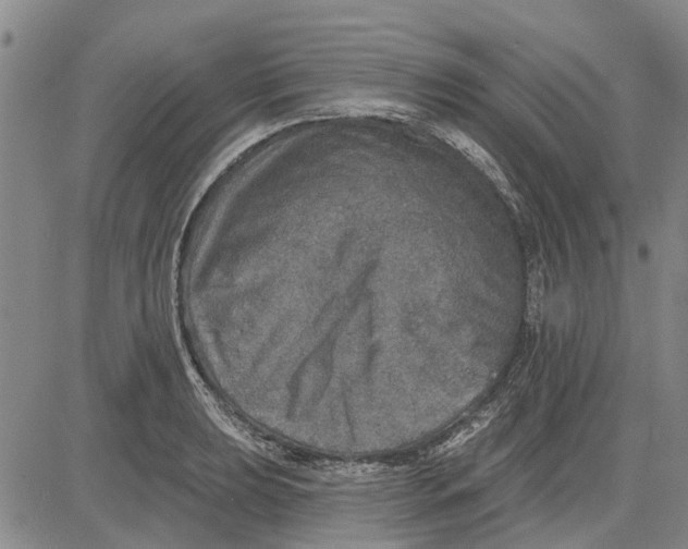 X0000083631039200703051630