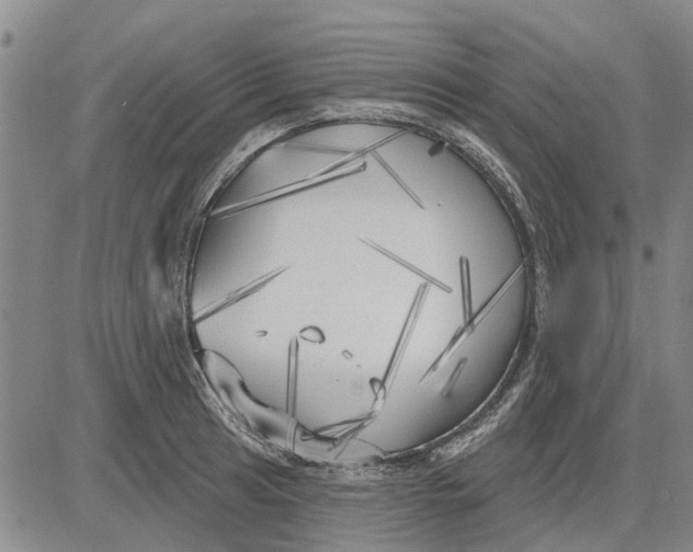 X0000083631041200703051630