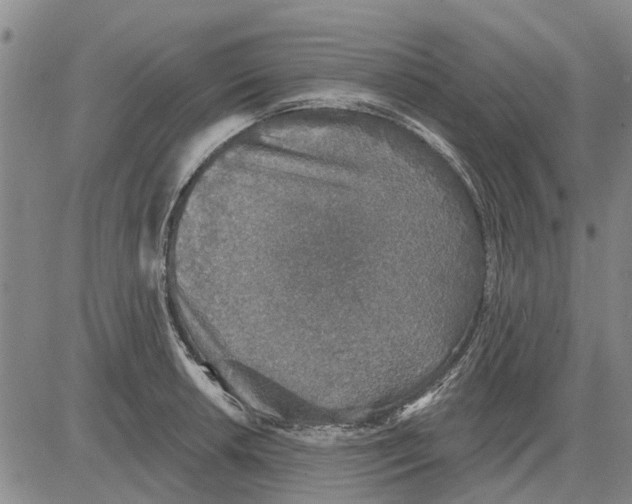 X0000083631042200703051630