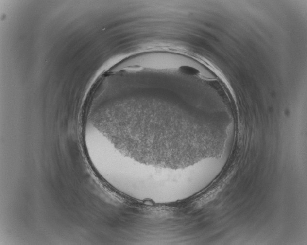 X0000083631045200703051630