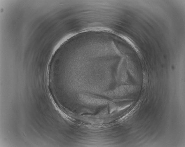 X0000083631046200703051630