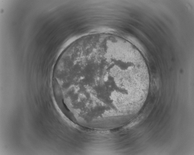 X0000083631055200703051630