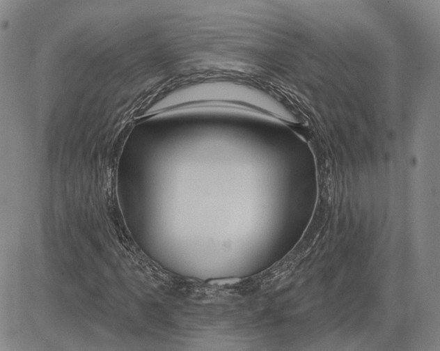 X0000083631061200703051629