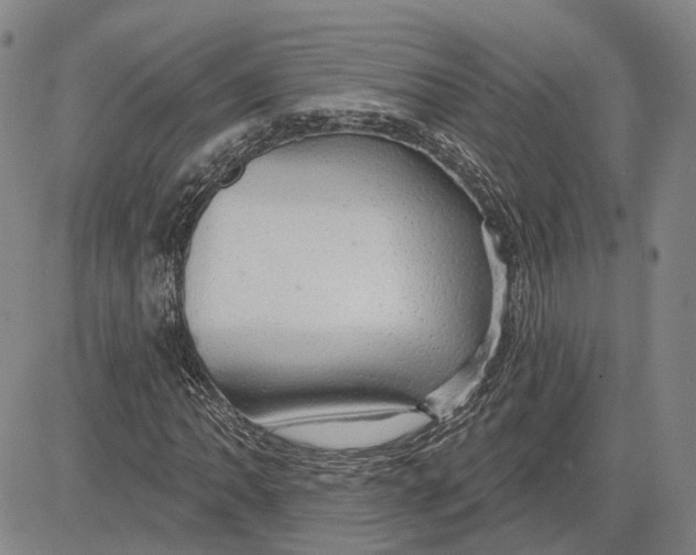 X0000083631062200703051629