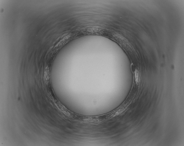 X0000083631107200703051628