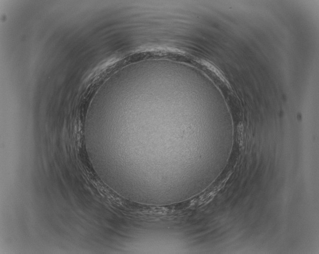 X0000083631111200703051628