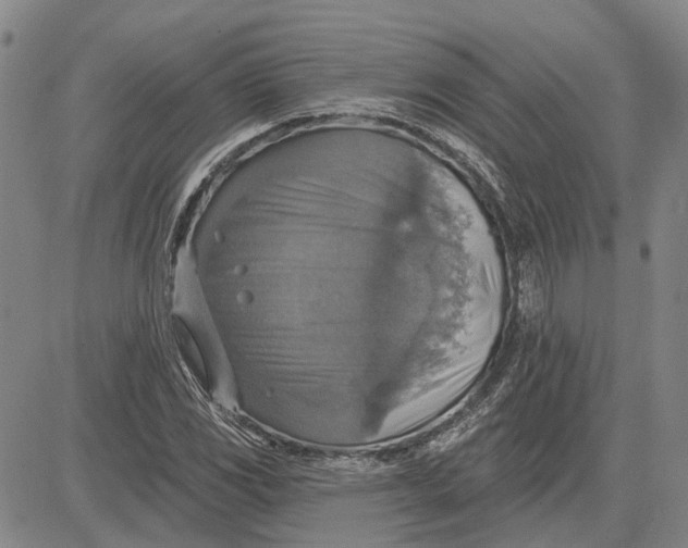 X0000083631117200703051628