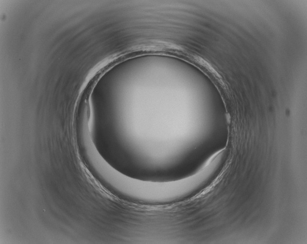 X0000083631122200703051628