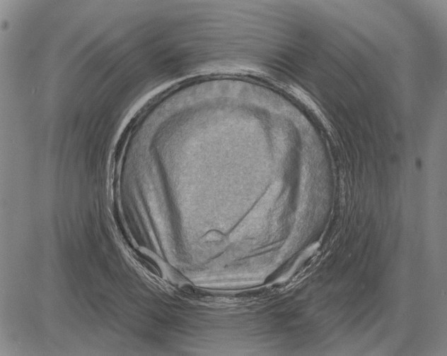 X0000083631124200703051628