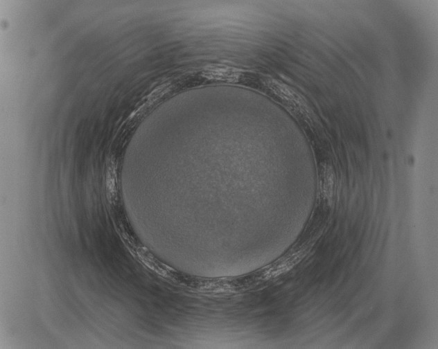 X0000083631154200703051627