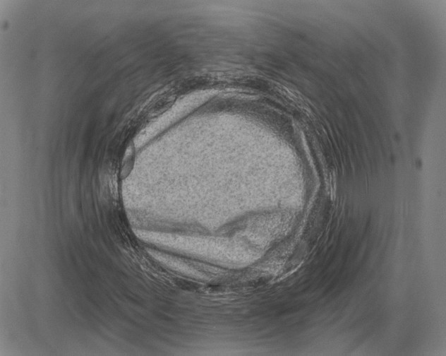 X0000083631155200703051627