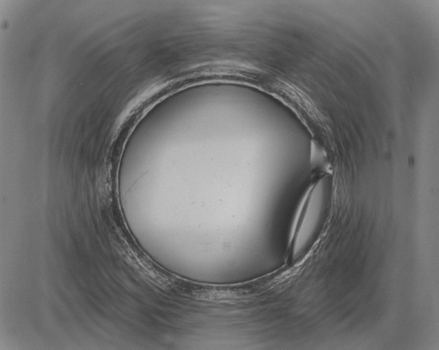 X0000083631164200703051627