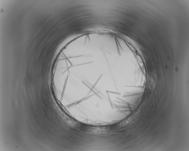 X0000083631195200703051627