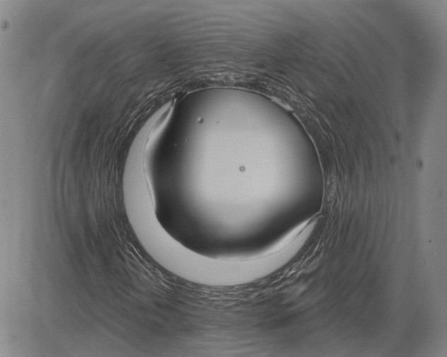 X0000083631202200703051626