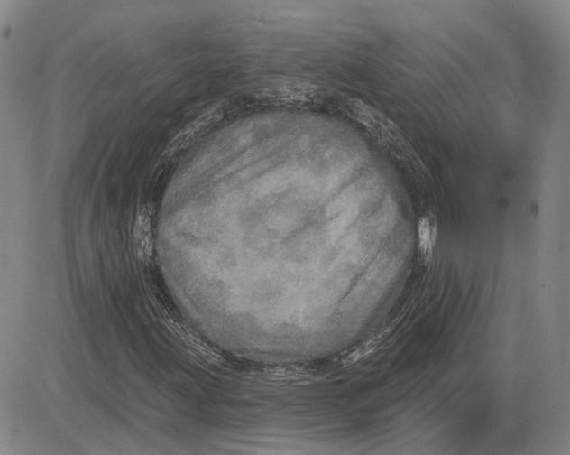 X0000083631203200703051626
