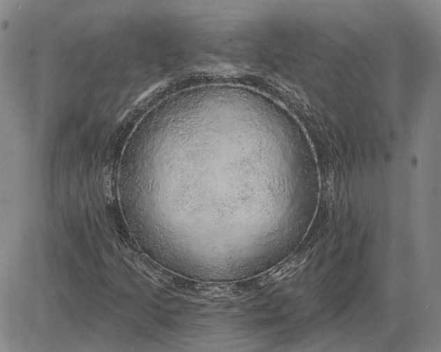 X0000083631205200703051626