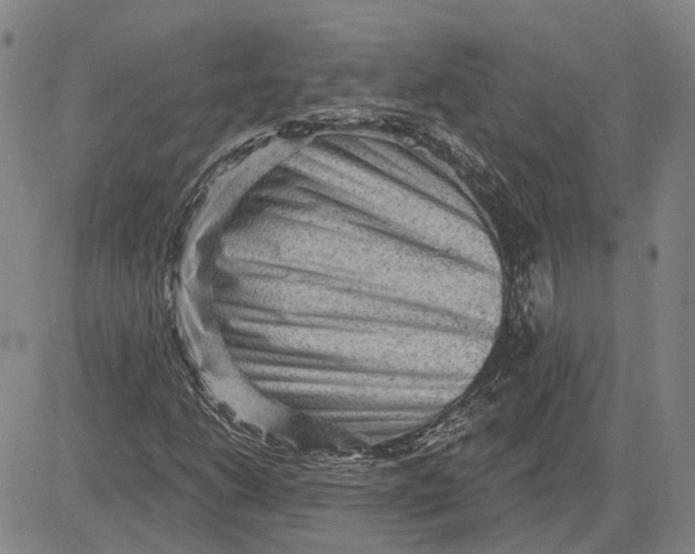 X0000083631206200703051626