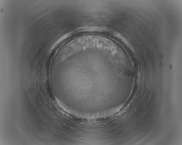 X0000083631213200703051626