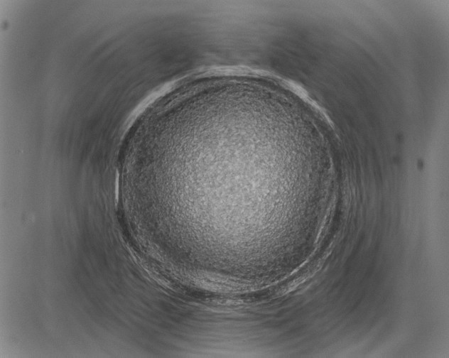 X0000083631221200703051626