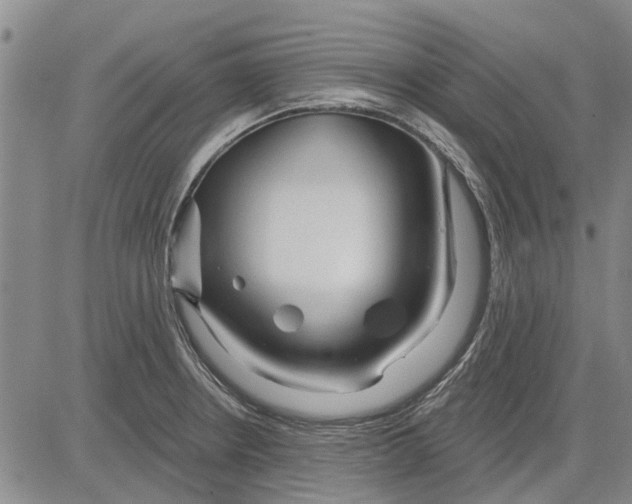 X0000083631234200703051626
