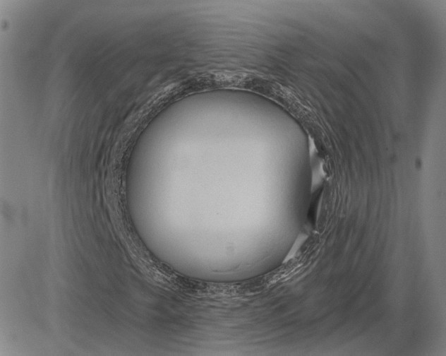 X0000083631249200703051626