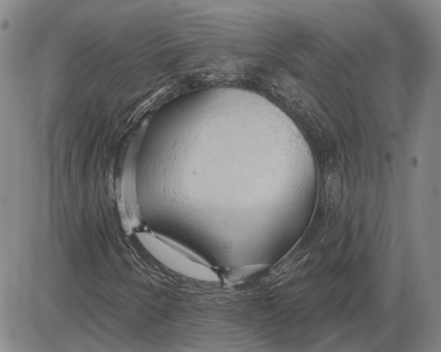 X0000083631250200703051626