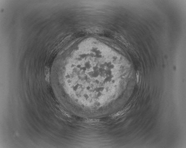 X0000083631251200703051626
