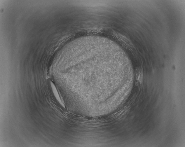 X0000083631252200703051626