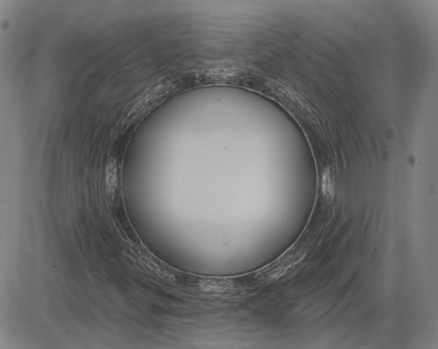 X0000083631299200703051624