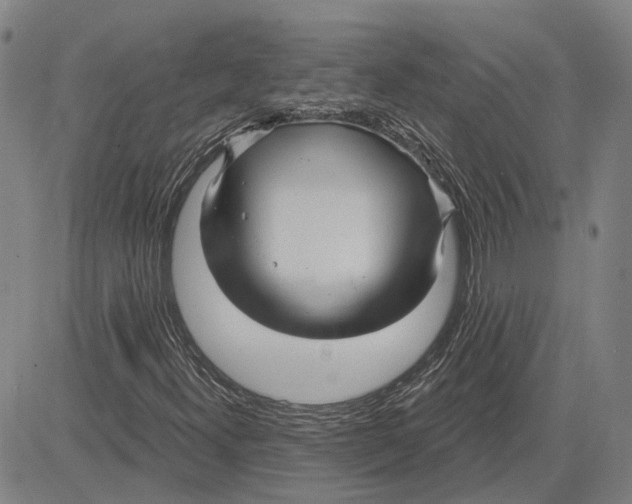 X0000083631300200703051624