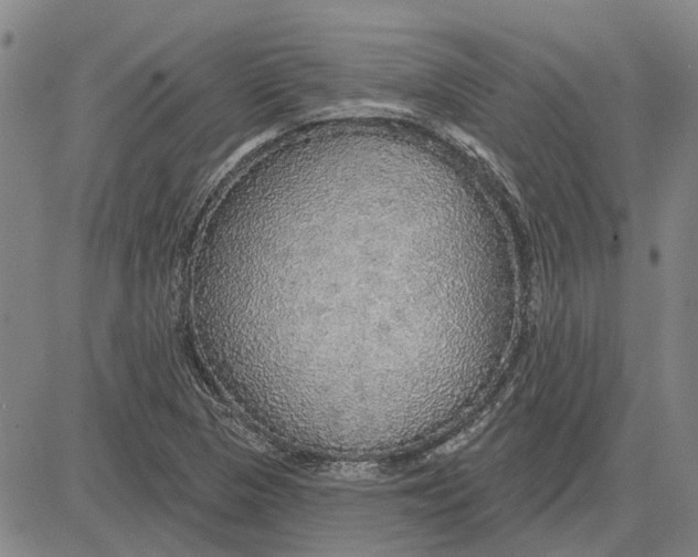 X0000083631313200703051625