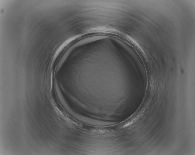 X0000083631323200703051625