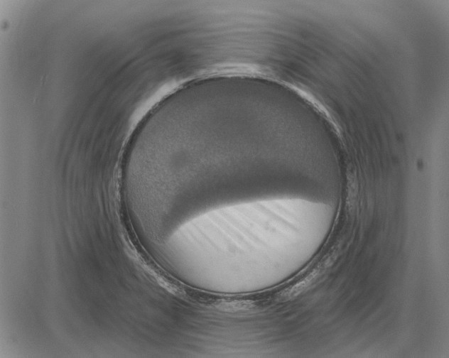 X0000083631325200703051625