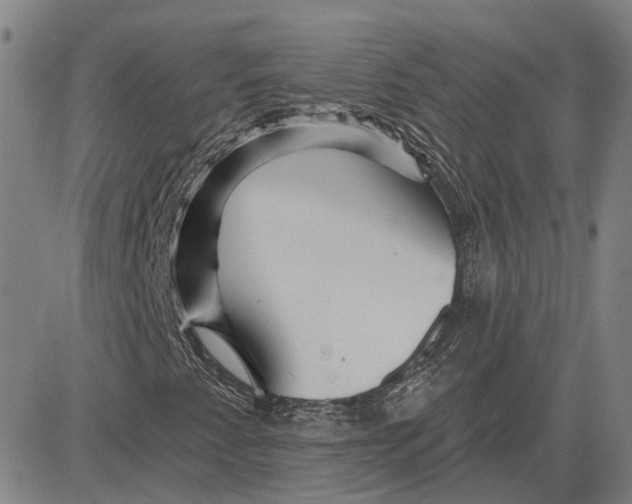 X0000083631345200703051624