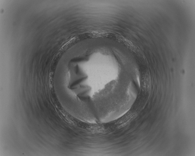 X0000083631346200703051624