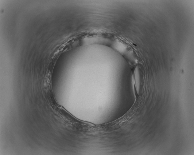 X0000083631349200703051624