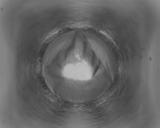 X0000083631350200703051624