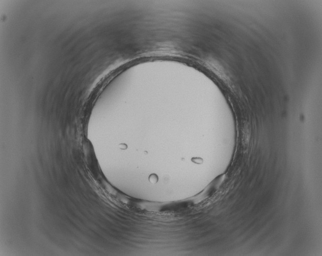 X0000083631356200703051624