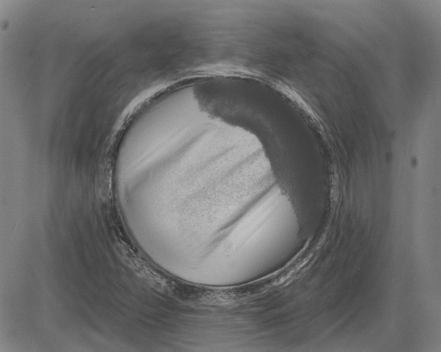 X0000083631358200703051624