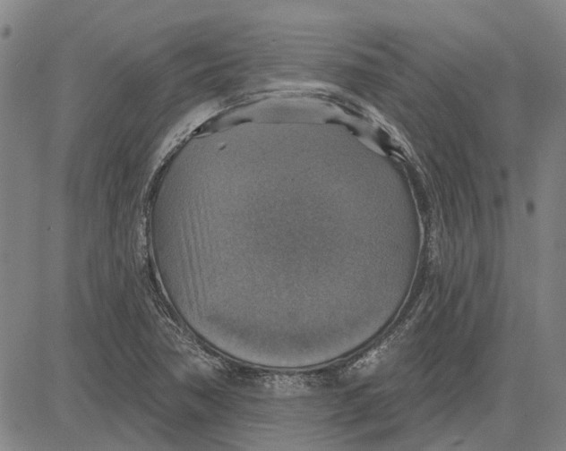 X0000083631362200703051624
