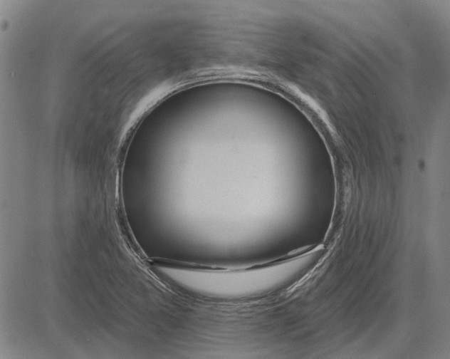 X0000083631365200703051624