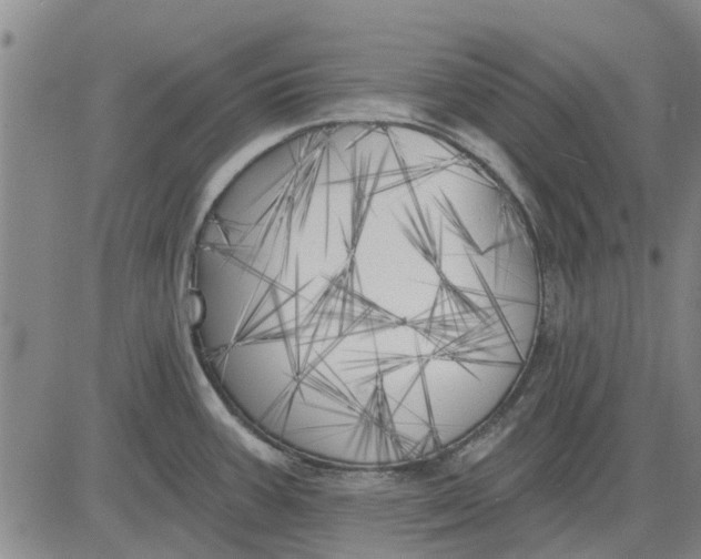 X0000083631387200703051624