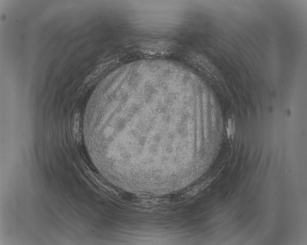 X0000083631396200703051623