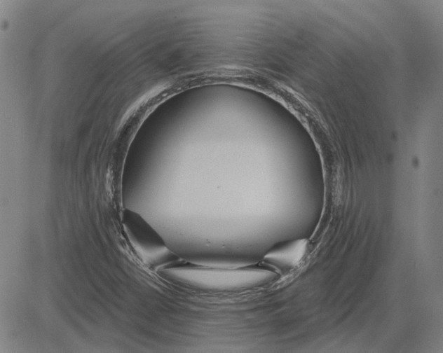 X0000083631402200703051623