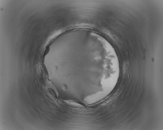 X0000083631405200703051623