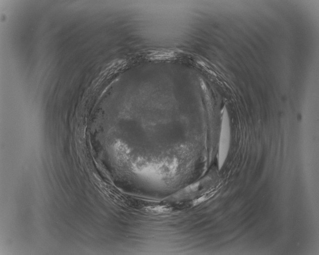 X0000083631441200703051623