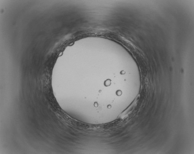 X0000083631447200703051623
